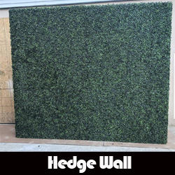Hedge Wall