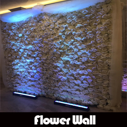 Flower Wall