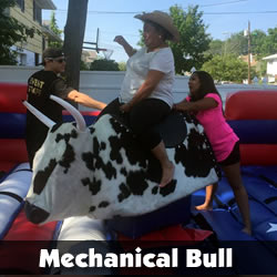 Mechanical Bull