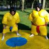 Sumo Suits